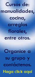 �No sabe c&oacute;mo hacer X &oacute; Y?  Organice a un grupo de personas cercanas a usted y comparta unas clases de cocina, arreglos florales, manualidades, entre otros.   Tel�fono:  2441-2411